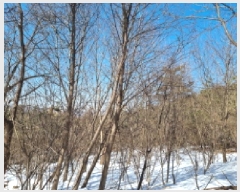  2025Ÿ��350 ��� ���ֽ� �������� ������ 23-1      ����(�Ӿ�)���