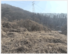  2025Ÿ��664 ��� ���ֽ� �������� �Ǿ��� 58-1      ����(������)���