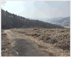  2025Ÿ��664 ��� ���ֽ� �������� �Ǿ��� 58-1      ����(������)���