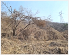  2025Ÿ��664 ��� ���ֽ� �������� �Ǿ��� 58-1      ����(������)���