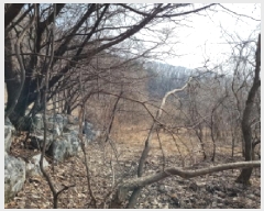  2025Ÿ��664 ��� ���ֽ� �������� �Ǿ��� 58-1      ����(������)���