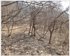  2025Ÿ��664 ��� ���ֽ� �������� �Ǿ��� 58-1      ����(������)���