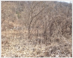  2025Ÿ��664 ��� ���ֽ� �������� �Ǿ��� 58-1      ����(������)���