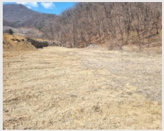  2025Ÿ��1025  �����