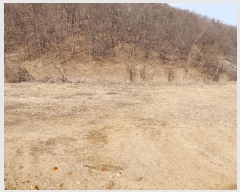  2025Ÿ��1025  �����