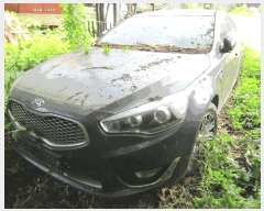  2025Ÿ1414  ϳ ʷ 120-15       