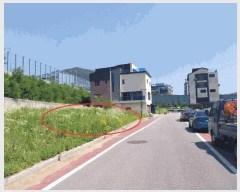  2025Ÿ��2240  �������