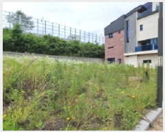  2025Ÿ��2240  �������