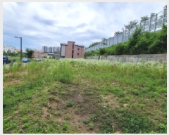  2025Ÿ��2240  �������