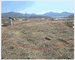  2025Ÿ��51558 ��� ���ֽ� �������� �̼��� 464      ����(��)���