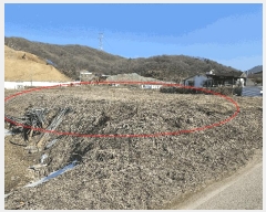  2025Ÿ��51558 ��� ���ֽ� �������� �̼��� 464      ����(��)���