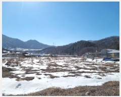  2025Ÿ��51558 ��� ���ֽ� �������� �̼��� 464      ����(��)���