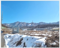  2025Ÿ��51558 ��� ���ֽ� �������� �̼��� 464      ����(��)���