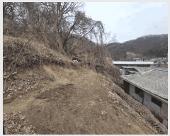  2025Ÿ��51654 ��� ���ֽ� �ﵿ 178       ����(��1)���