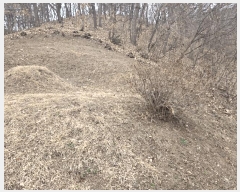  2025Ÿ��51654 ��� ���ֽ� �ﵿ 178       ����(��1)���