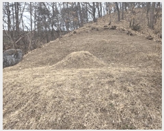  2025Ÿ��51654 ��� ���ֽ� �ﵿ 178       ����(��1)���