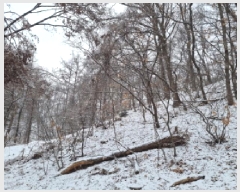  2025Ÿ��51654  �Ӿ߰��