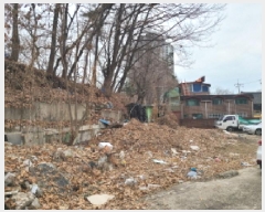  2025Ÿ��51733  �Ӿ߰��