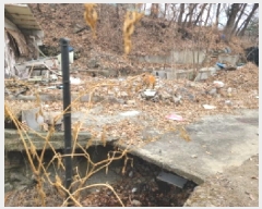  2025Ÿ��51733  �Ӿ߰��