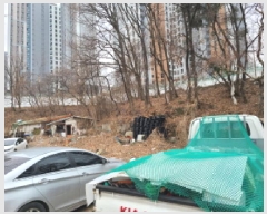  2025Ÿ��51733  �Ӿ߰��