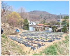  2025Ÿ��51863 ��� ���ֽ� ��ô�� ������ 353      ����(��1)���