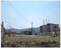  2025Ÿ��51863 ��� ���ֽ� ��ô�� ������ 353      ����(��1)���