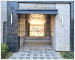  2025Ÿ��51919  ����Ʈ���