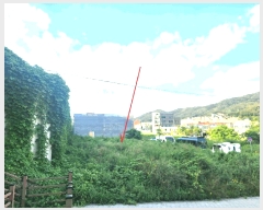  2025Ÿ��51934 ��� ���ֽ� ������ 613-5       ����(����)���