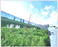  2025Ÿ��51934 ��� ���ֽ� ������ 613-5       ����(����)���