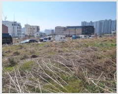  2025Ÿ��51934 ��� ���ֽ� ������ 613-5       ����(����)���