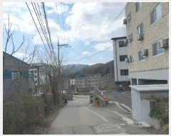  2025Ÿ��51952  �ټ���(����)���