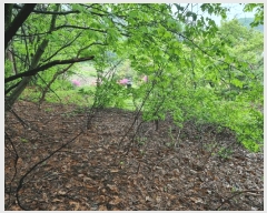  2025Ÿ��52049 ��� ���ֽ� ��ô�� �߰ 91      ����(��1)���