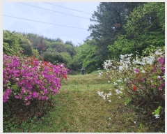  2025Ÿ��52049 ��� ���ֽ� ��ô�� �߰ 91      ����(��1)���