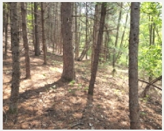  2025Ÿ��52049 ��� ���ֽ� ��ô�� �߰ 91      ����(��1)���