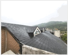  2025Ÿ��52063  �ٸ����ð��