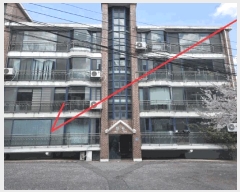  2025Ÿ��1049 ��� ���ֽ� ���� 492 1��104ȣ      �ټ���,������