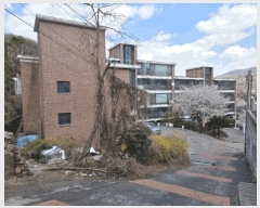  2025Ÿ��1049 ��� ���ֽ� ���� 492 1��104ȣ      �ټ���,������