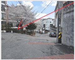  2025Ÿ��1049 ��� ���ֽ� ���� 492 1��104ȣ      �ټ���,������