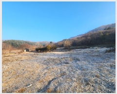  2025Ÿ��50799 ��� ���ֽ� ��ô�� �󸲸� 51-83      ����(��1)���