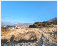  2025Ÿ��50799 ��� ���ֽ� ��ô�� �󸲸� 51-83      ����(��1)���