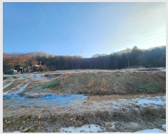  2025Ÿ��50799 ��� ���ֽ� ��ô�� �󸲸� 51-83      ����(��1)���