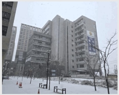  2025Ÿ��51559  �ٸ��󰡰��