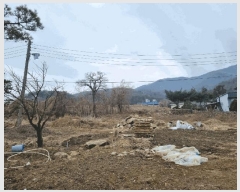  2025Ÿ��51597  �������