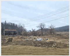  2025Ÿ��51597  �������