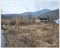  2025Ÿ��51597  �������