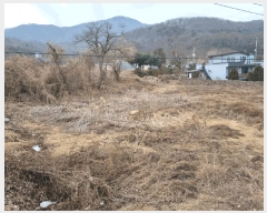  2025Ÿ��51597  �������