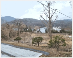  2025Ÿ��51597  �������