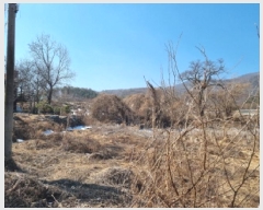  2025Ÿ��51597  �������