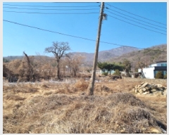  2025Ÿ��51597  �������