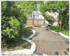  2025Ÿ��52050  �����ڽü����